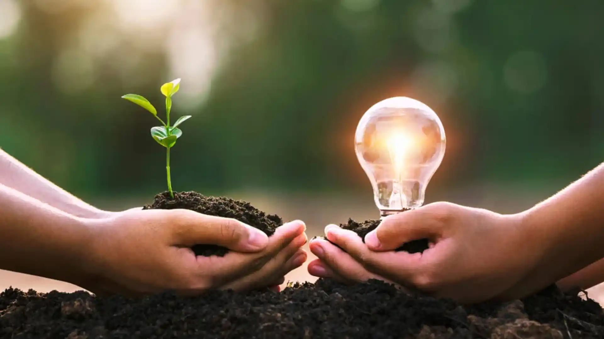 Foto: Compromisso social